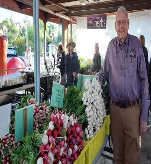 Farm-to-Table (Thanksgiving Ingredients) in DC Ranch, AZ